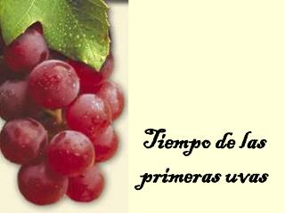 Tiempo de las primeras uvas