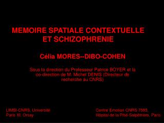 MEMOIRE SPATIALE CONTEXTUELLE ET SCHIZOPHRENIE