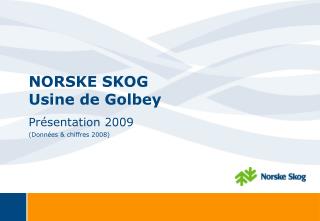 NORSKE SKOG Usine de Golbey