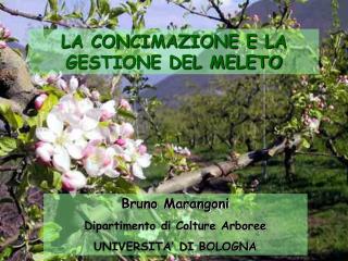 Bruno Marangoni Dipartimento di Colture Arboree UNIVERSITA’ DI BOLOGNA