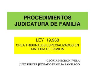 PROCEDIMIENTOS JUDICATURA DE FAMILIA