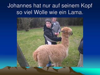 Johannes hat nur auf seinem Kopf so viel Wolle wie ein Lama.