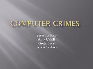 Computer Crimes