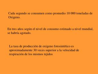 Cada segundo se consumen como promedio 10 000 toneladas de Oxigeno.