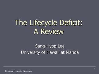 The Life c ycle Deficit : A Review