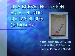 UNA BREVE INCURSIÓN EN EL MUNDO DE LAS BLOGS (Bitácoras)