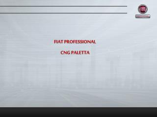 FIAT PROFESSIONAL CNG PALETTA