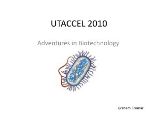 UTACCEL 2010