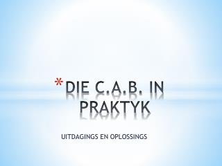 DIE C.A.B. IN PRAKTYK