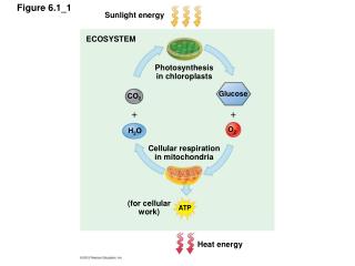 Figure 6.1_1