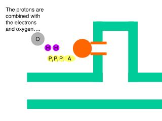 P i