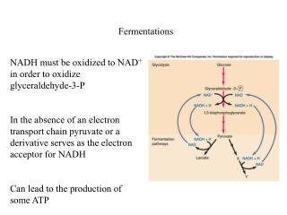 Fermentations