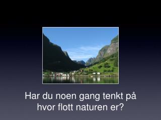 Har du noen gang tenkt på hvor flott naturen er?