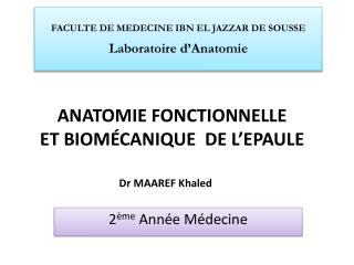 ANATOMIE FONCTIONNELLE ET BIOMÉCANIQUE DE L’EPAULE