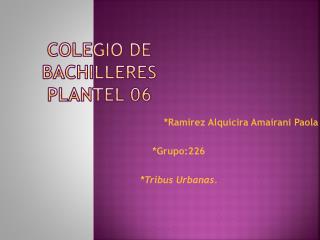 Colegio de bachilleres plantel 06