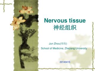 Nervous tissue 神经组织