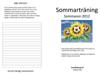 Sommarträning Sommaren 2012