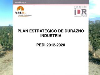 PLAN ESTRATÉGICO DE DURAZNO INDUSTRIA PEDI 2012-2020