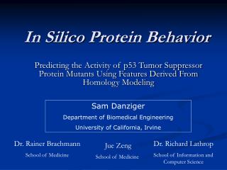 In Silico Protein Behavior