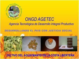 ONGD AGETEC