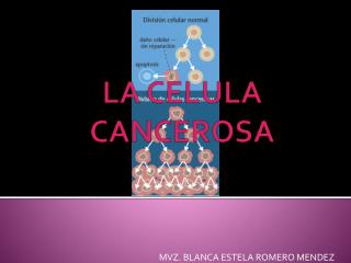 LA CELULA CANCEROSA