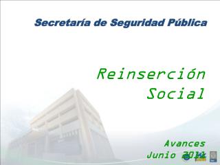 Reinserción Social Avances Junio 2011