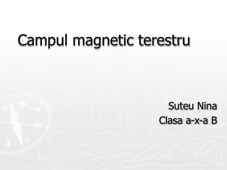 Campul magnetic terestru