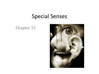 Special Senses