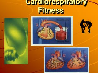 Cardiorespiratory Fitness