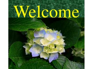 Welcome