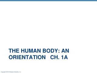 The Human Body: An Orientation Ch . 1a