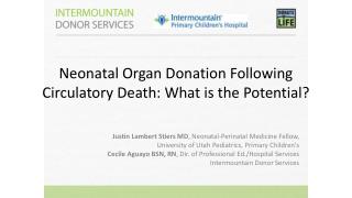 Neonatal Organ Donation Following Circulatory Death: What is the Potential?