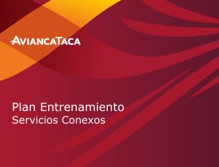 Plan Entrenamiento Servicios Conexos