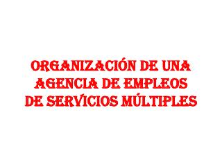 ORGANIZACIÓN DE UNA AGENCIA DE EMPLEOS DE SERVICIOS MÚLTIPLES