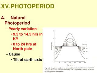 XV.	PHOTOPERIOD