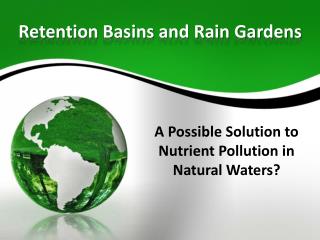 Retention Basins and Rain Gardens