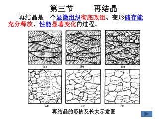 第三节 再结晶