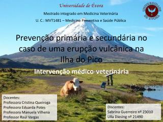 Prevenção primária e secundária no caso de uma erupção vulcânica na Ilha do Pico
