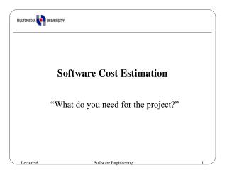 Software Cost Estimation