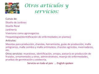 Otros articulos y servicios: