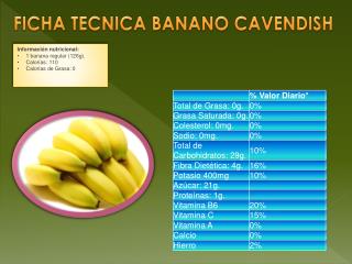 FICHA TECNICA BANANO CAVENDISH