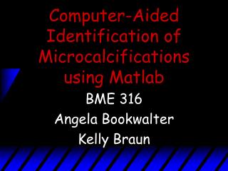 Computer-Aided Identification of Microcalcifications using Matlab