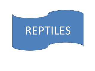 REPTILES