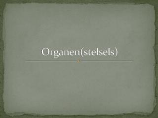 Organen ( stelsels )