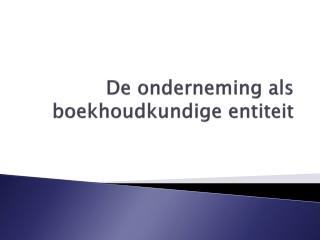 De onderneming als boekhoudkundige entiteit