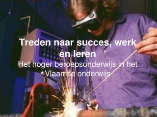Treden naar succes, werk en leren Het hoger beroepsonderwijs in het Vlaamse onderwijs