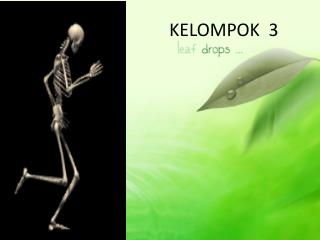 KELOMPOK 3