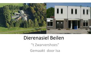 Dierenasiel Beilen