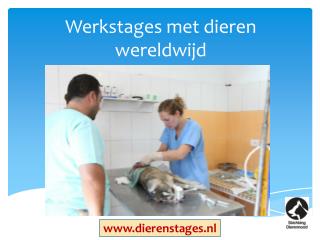 Werkstages met dieren wereldwijd