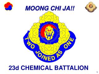 23d CHEMICAL BATTALION